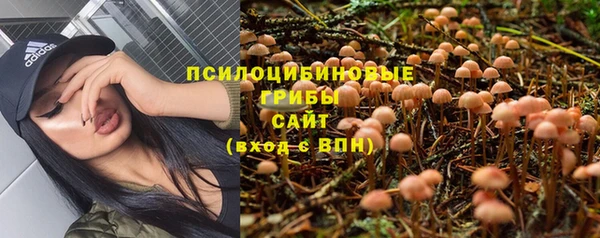 каннабис Алексин